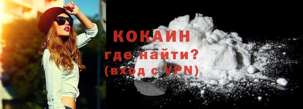 дмт Тайга