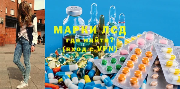 стаф Володарск