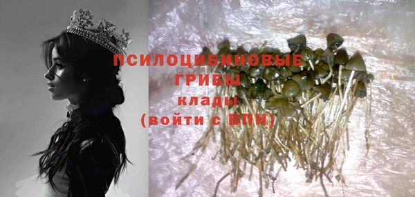 стаф Володарск