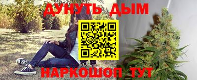 индика Донецк