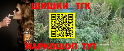 индика Донецк
