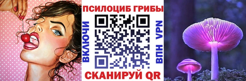 даркнет сайт  Назарово  Псилоцибиновые грибы Magic Shrooms 