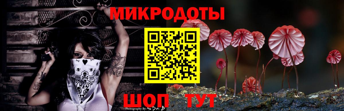 Псилоцибиновые грибы прущие грибы Назарово